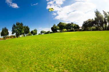 Yeşil golf sahası