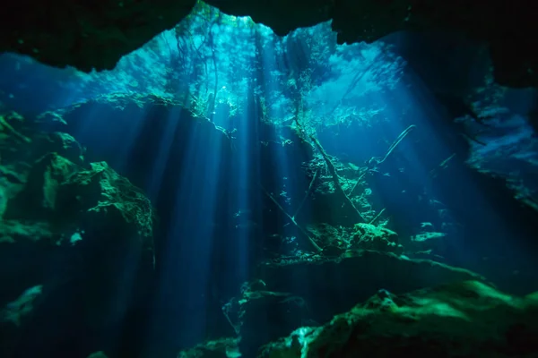 Víz alatti világ, a Azul cenote — Stock Fotó