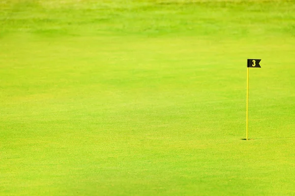 Зеленый фарвей поля для гольфа — стоковое фото