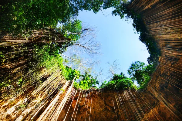 Ik-Kil cenote com raízes penduradas — Fotografia de Stock