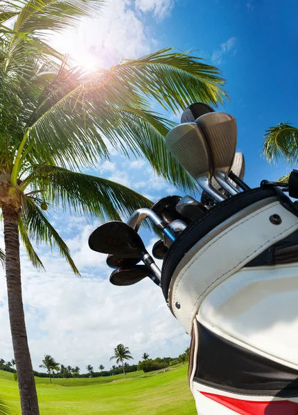 Golf çantası ile farklı kulüpleri — Stok fotoğraf