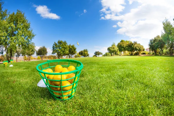 Korg med gula golfbollar — Stockfoto
