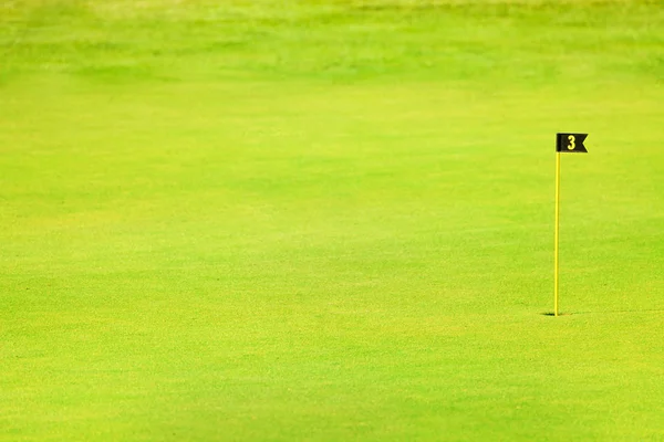 Fairway verde del campo da golf Foto Stock Royalty Free