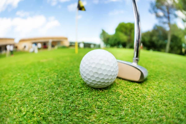 Golf ball and niblick Royalty Free Stock Images