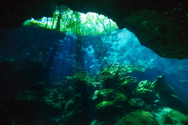 Víz alatti világ, a Azul cenote — Stock Fotó