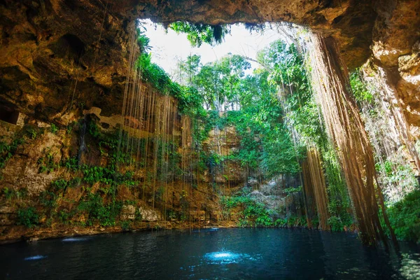Ik-Kil cenote with roots in Mexico — Stock Photo, Image