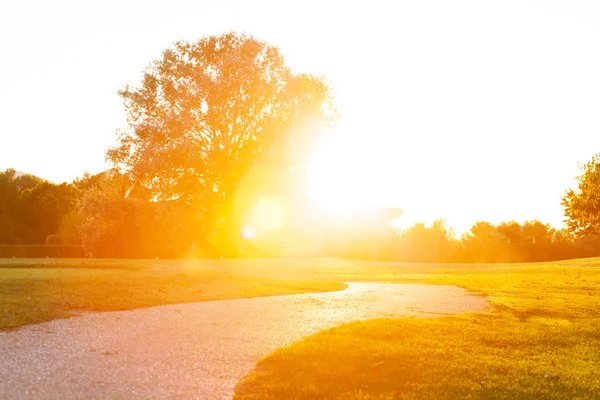 Light through trees along road — Stock Photo, Image