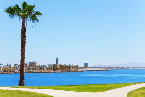 Bir Long Beach şehir manzarası — Stok fotoğraf