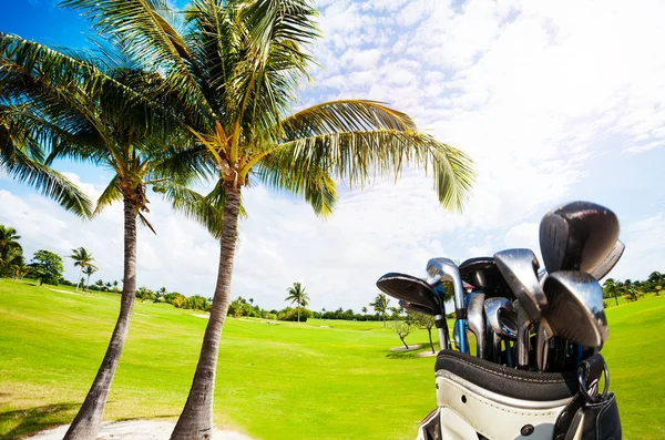 Sac de golf avec différents clubs — Photo