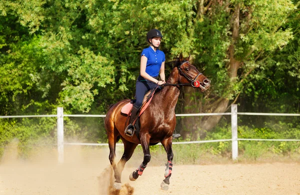 Horsewoman and show jumping horse — Stock Photo, Image