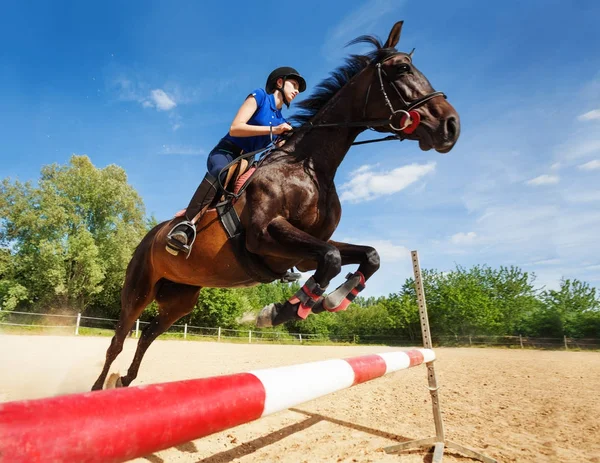 Pferd mit Reiterin springt über Hürde — Stockfoto