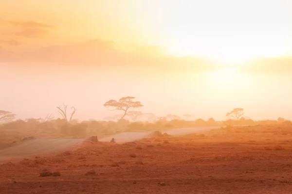 Mistige Uitzicht Afrikaanse Savanne Masai Mara Met Onverharde Weg Acacia — Stockfoto