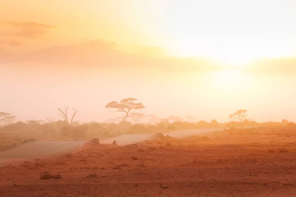 Vista Enevoada Savana Africana Masai Mara Com Estrada Terra Acácia — Fotografia de Stock