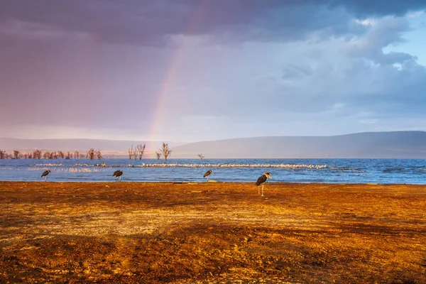 Dvojitá Duha Zamračená Obloha Nad Jezero Nakuru Keni — Stock fotografie