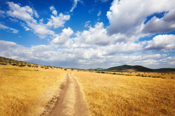 Beautiful cloudscape over arid African savannah with dirt road leading into mountains