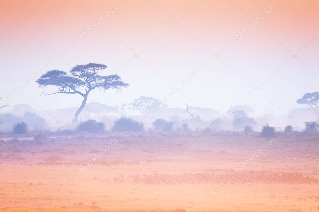 Pastel pink and purple color of sunset at African savannah with silhouetted trees in a haze