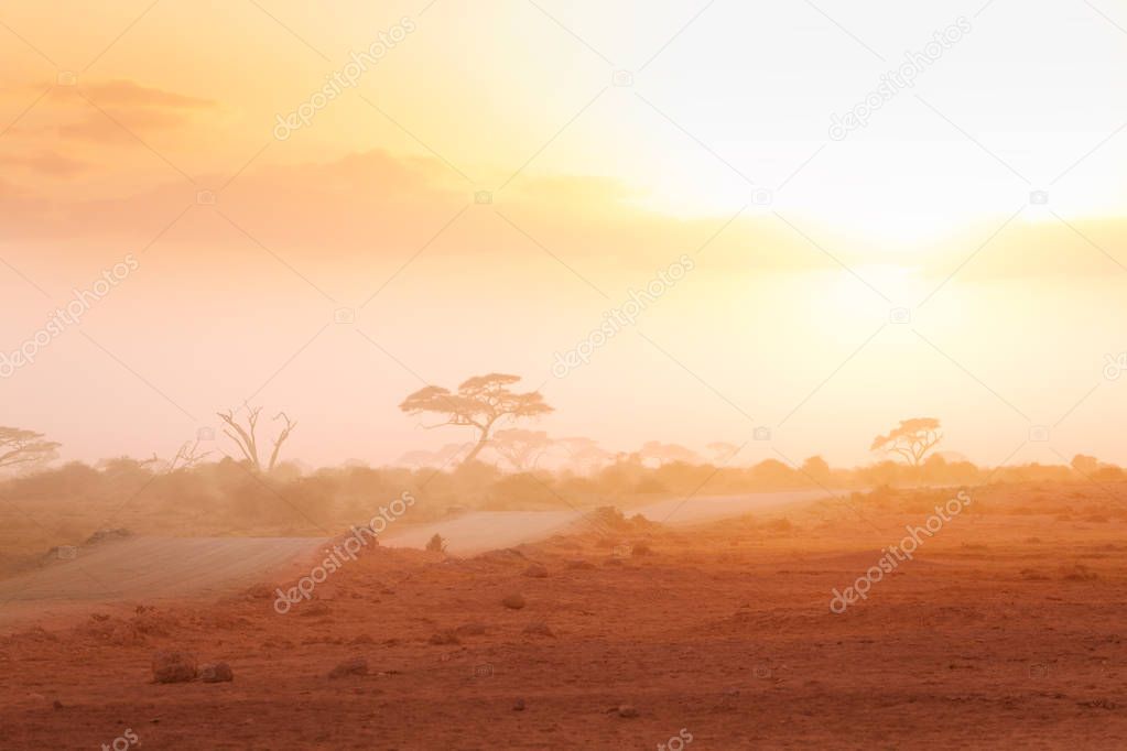 Misty view of African savannah Masai Mara with dirt road and acacia trees silhouettes at sunset