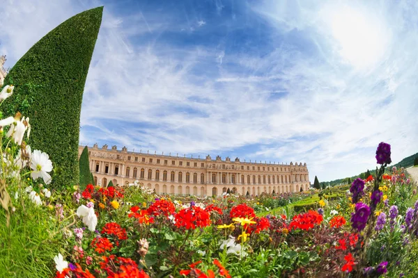 晴れた日に フランスのベルサイユ宮殿の前で花の庭園の眺望 — ストック写真