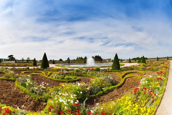 活気付く花および夏 フランスのベルサイユの噴水で有名な庭 Parterres のパノラマ ビュー — ストック写真