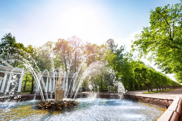 Marly Avenue Adam Fountain Lower Park Peterhof Sunny Day — Stock Photo, Image