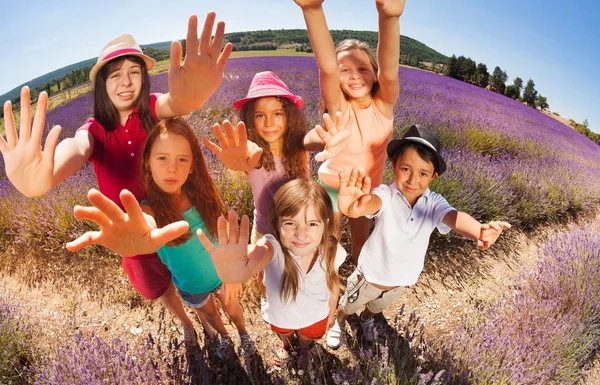 Alto Ángulo Tiro Seis Niños Edad Diversa Pie Campo Lavanda —  Fotos de Stock