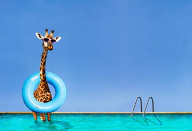 Giraffe stand inside the pool with inflatable ring clipart
