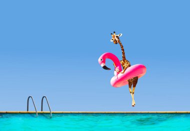 Şişme flamingoyla havuza atlayan zürafa.