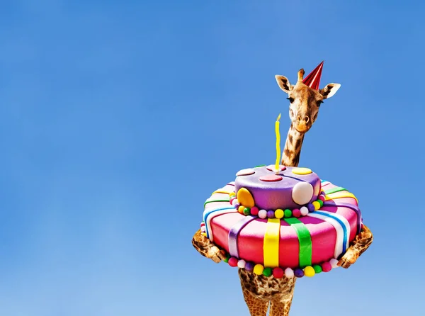 Jirafa con pastel de cumpleaños y gorra en el cielo azul — Foto de Stock