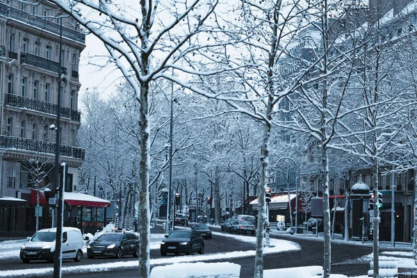 Párizs utcája, nappal havas fák — Stock Fotó
