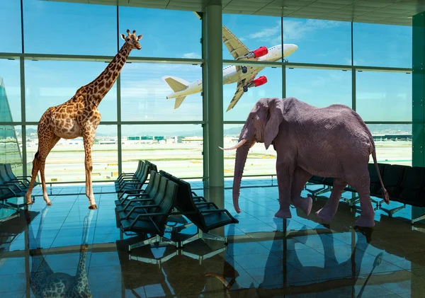 Olifant en giraffe dieren staan in de luchthavenhal — Stockfoto