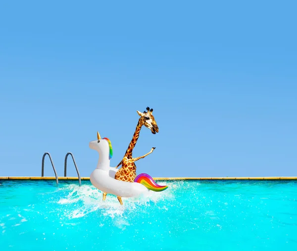 Jirafa saltando a la piscina con unicornio inflable — Foto de Stock