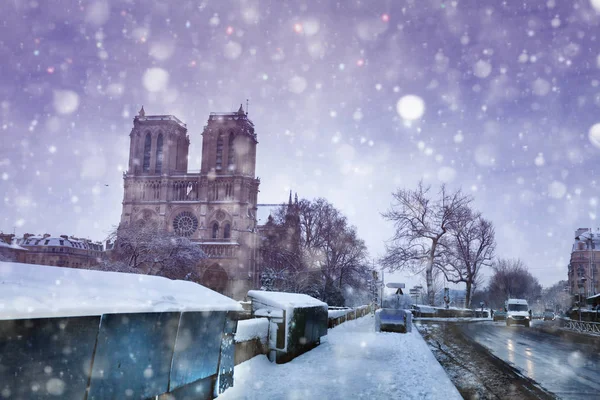 Seine bank and Notre Dame de Paris under snow — 스톡 사진