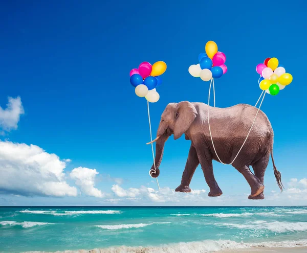 Elefante africano volare sui palloncini di colore aria — Foto Stock