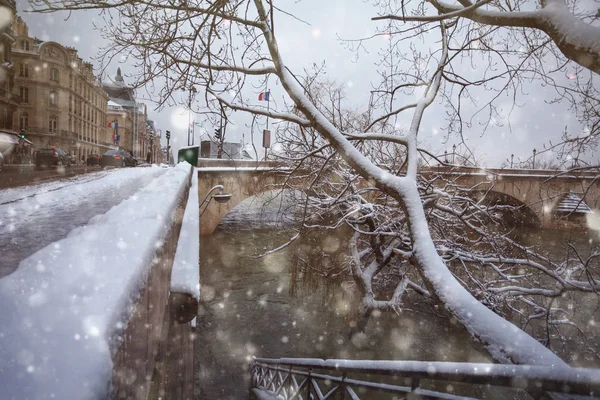Árboles cubiertos de nieve en el río Sein inundado en París —  Fotos de Stock