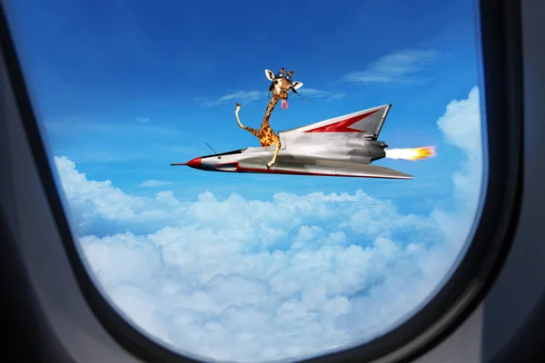 Hola de jirafa piloto carrera avión, mano de onda — Foto de Stock