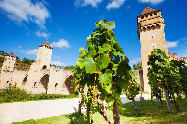 Кахор, Франция и виноградник Валентра — стоковое фото