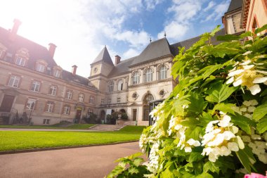 Flowers and Cite Universitaire University in Paris clipart