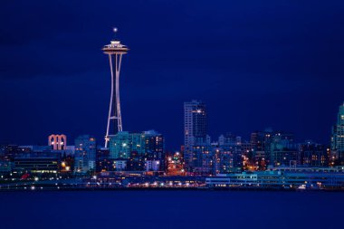 Seattle town night view skyline and space needle