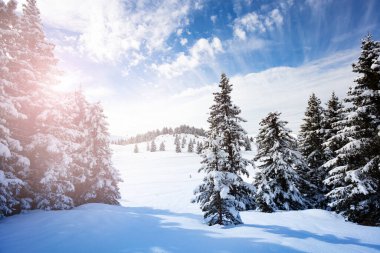 Şiddetli kar yağışından sonra ormandaki dağ düzlemi