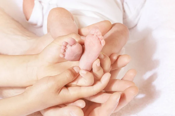 Many hands adult, child hold newborn infant feet — ストック写真