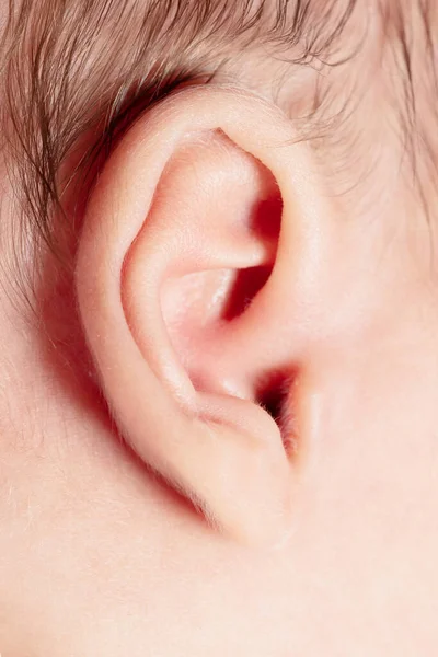 Ear head close-up of newborn infant baby sleep — Φωτογραφία Αρχείου