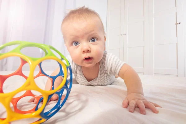 Lindo bebé niño pequeño arrastrarse después de juguete de color — Foto de Stock