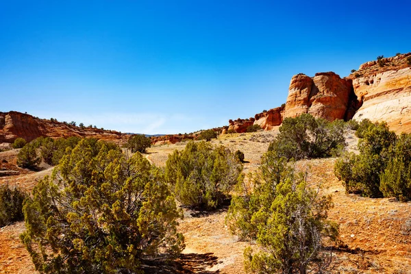 Büsche Sand und Wüste Felsformation in utah, Vereinigte Staaten — Stockfoto