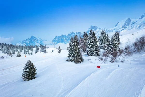 Gyönyörű téli sípályák fenyőkkel és hegyekkel — Stock Fotó