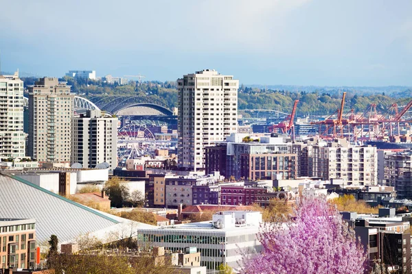 Blick vom Queen-Anne-Hügel auf die Innenstadt — Stockfoto