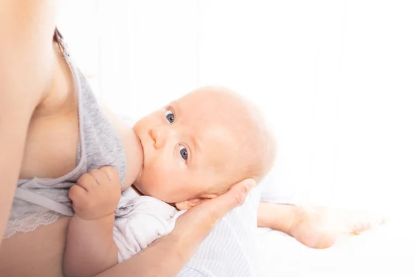 Mom feed cute infant baby boy use breastfeed bra — Stock Photo, Image