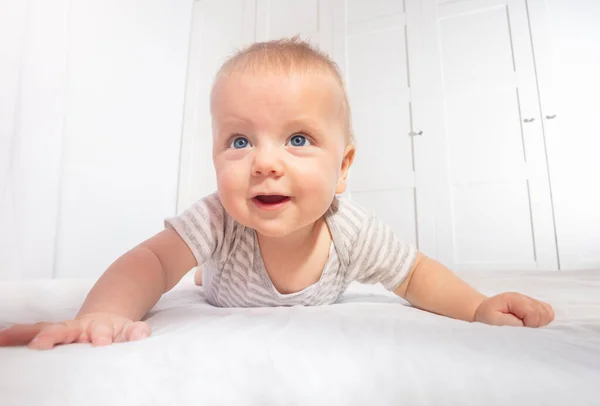 Low angle view of baby boy toddler learn to crawl — 스톡 사진