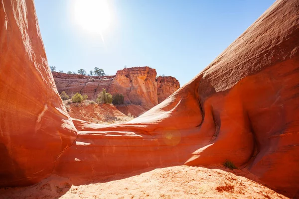 Kőképződés a kanyonban, közel a Zebra ponthoz, Utah — Stock Fotó