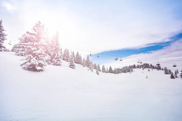 Skilift und schneebedeckte Tannen mont-blanc Alpen — Stockfoto