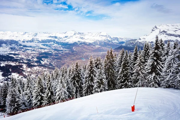 Schneebedecktes Tannental des Mont-Blanc Chamonix — Stockfoto